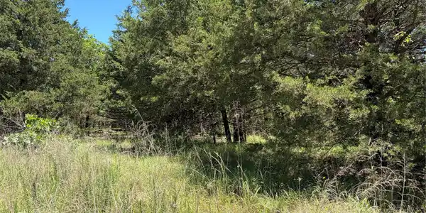 Image 3: Expansive natural landscape featuring varied green