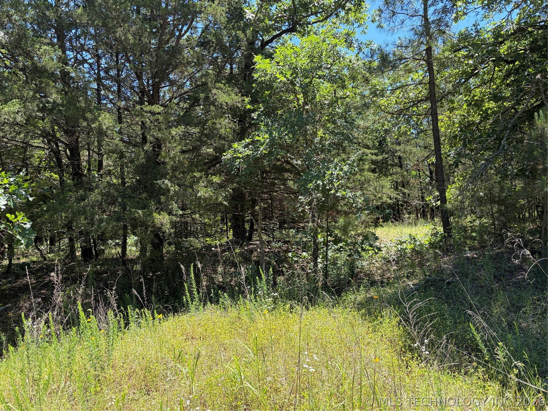 Image 4: Wooded property featuring mature trees and natural