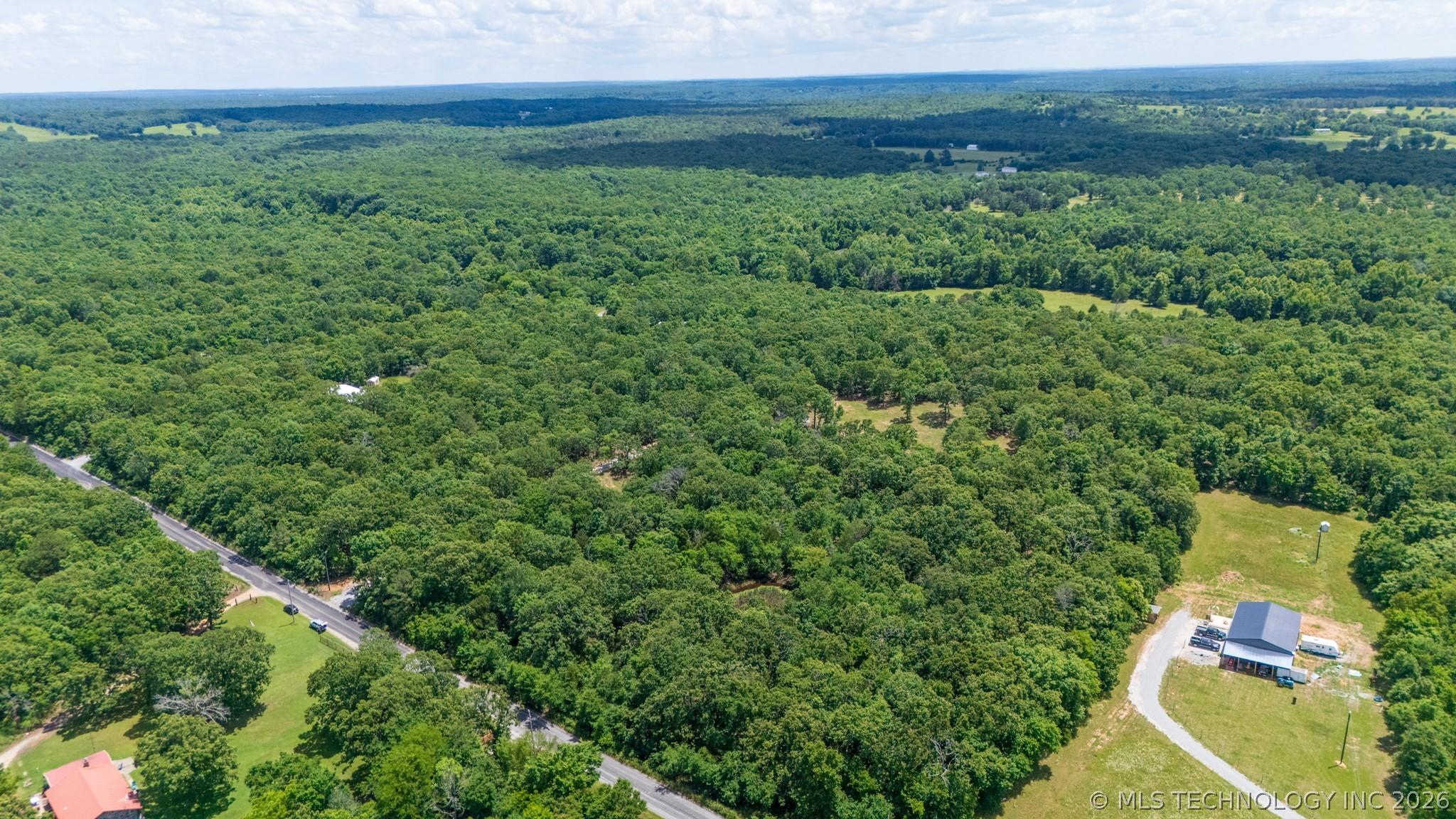 Image 4: Acreage to the right of the cleared area