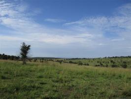 State Hwy 9 W