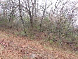 1916 Black Oak Trail