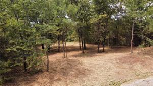 543 Pin Oak