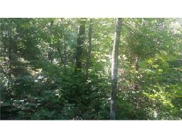 Lot 55 McCoy Road