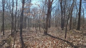 002 Timberlane Drive