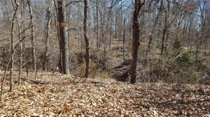 003 Timberlane Drive