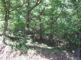 37 W Chicken Creek Road