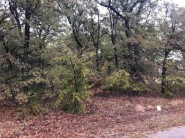 1446 Eddie Road
