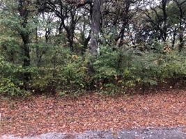 1401 Woodland Circle