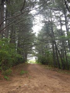 75475 Hwy 69