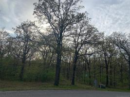Hickory Lane