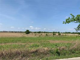 Bison Road