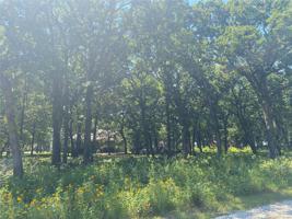 Drew Avenue