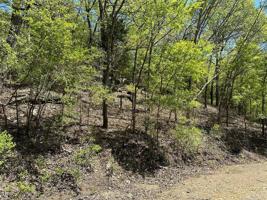 E Redbud Drive