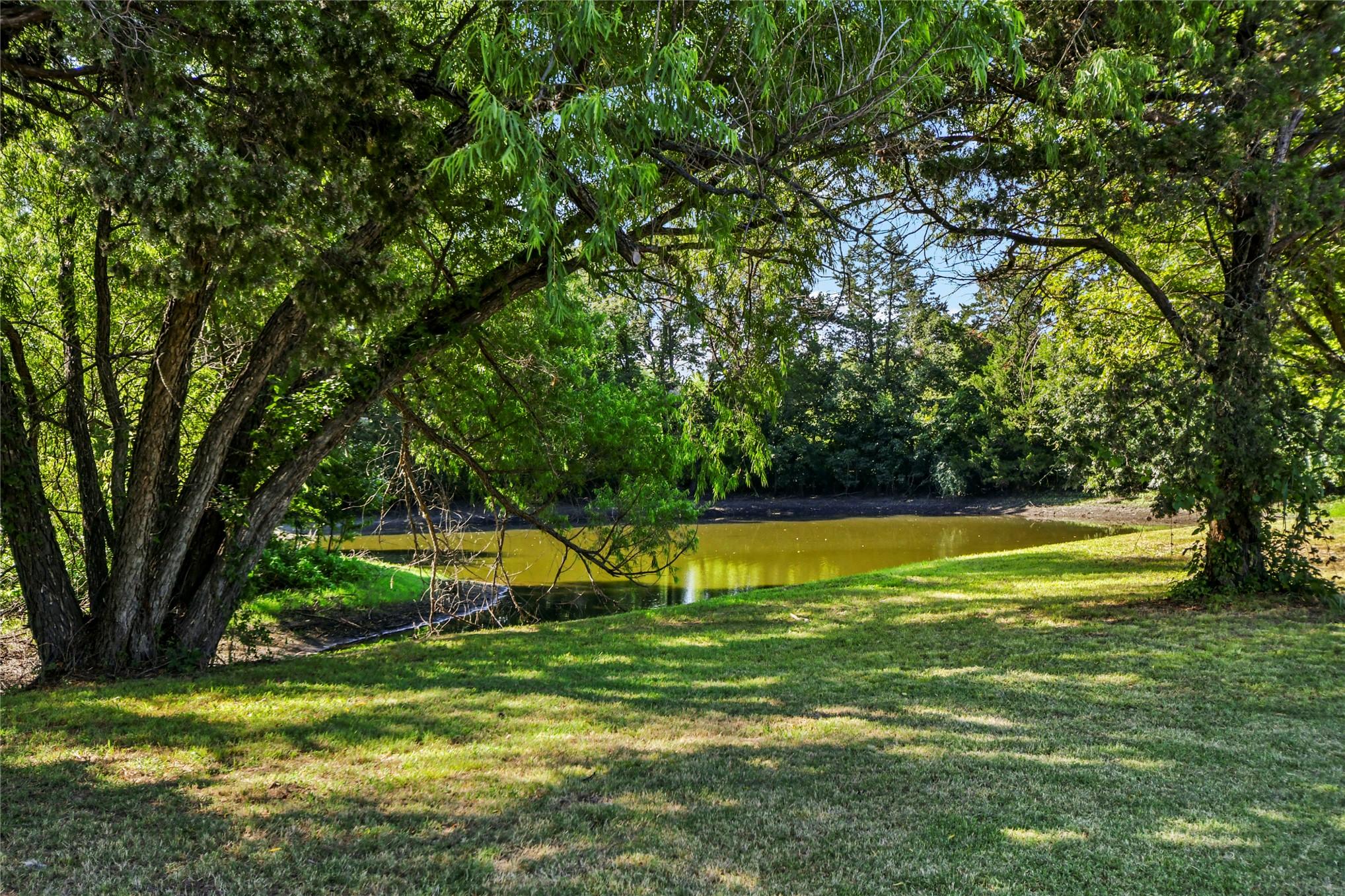 Image 4: Private pond with surrounding trees and natural la