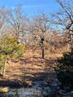 Sequoyah