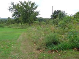 Seminole Drive