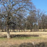 Comanche Road