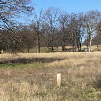 Comanche Road
