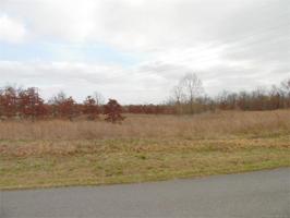 TBD E. Horseshoe Bend Road