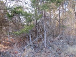 0 Fir Piney Creek 5