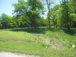 Holstein Trail
