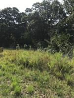 SCR 4490 Road