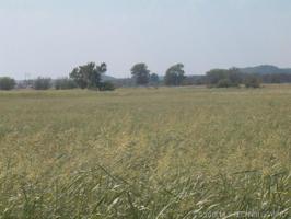 S 4150 Road