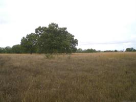 583 Drive