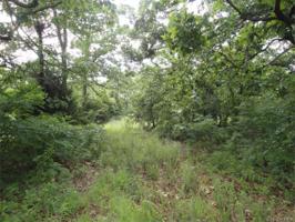 Piney Creek Road