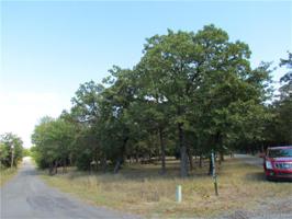 Council Tree Drive