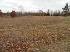 TBD E. Horseshoe Bend Road