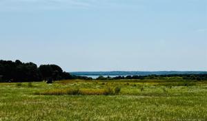 Lago Vista Lane
