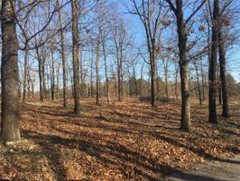 Plum Tree Road
