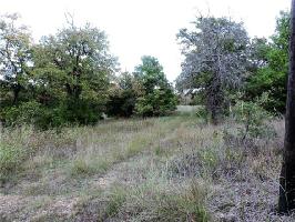 Elm Drive