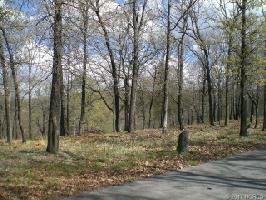 Plum Tree Road