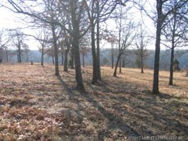 TBD E Wilderness Road