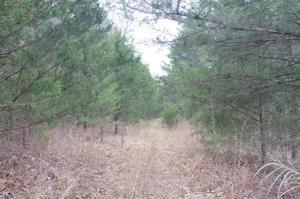 S Hickory Lane