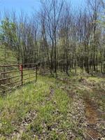 E County Rd 1110 Road