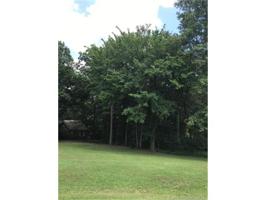 Timber View