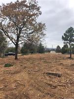 Oak Drive