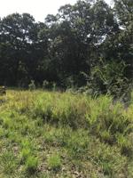 SCR 4490 Road