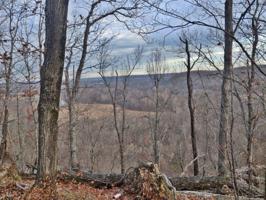 23040 Horseshoe Bend Road