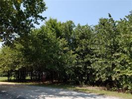 Oak Hollow Road Alta Vista 4 Street