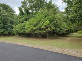 2968 W Sunset Drive