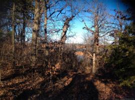 Frog Rock Road