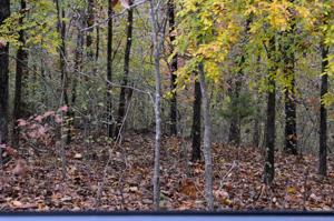 Dogwood Circle