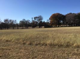2319 Scenic View Road