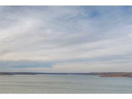 Shoreline Drive