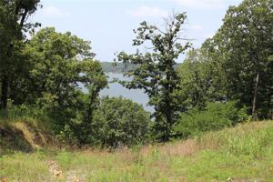 0000 Plum Tree Road