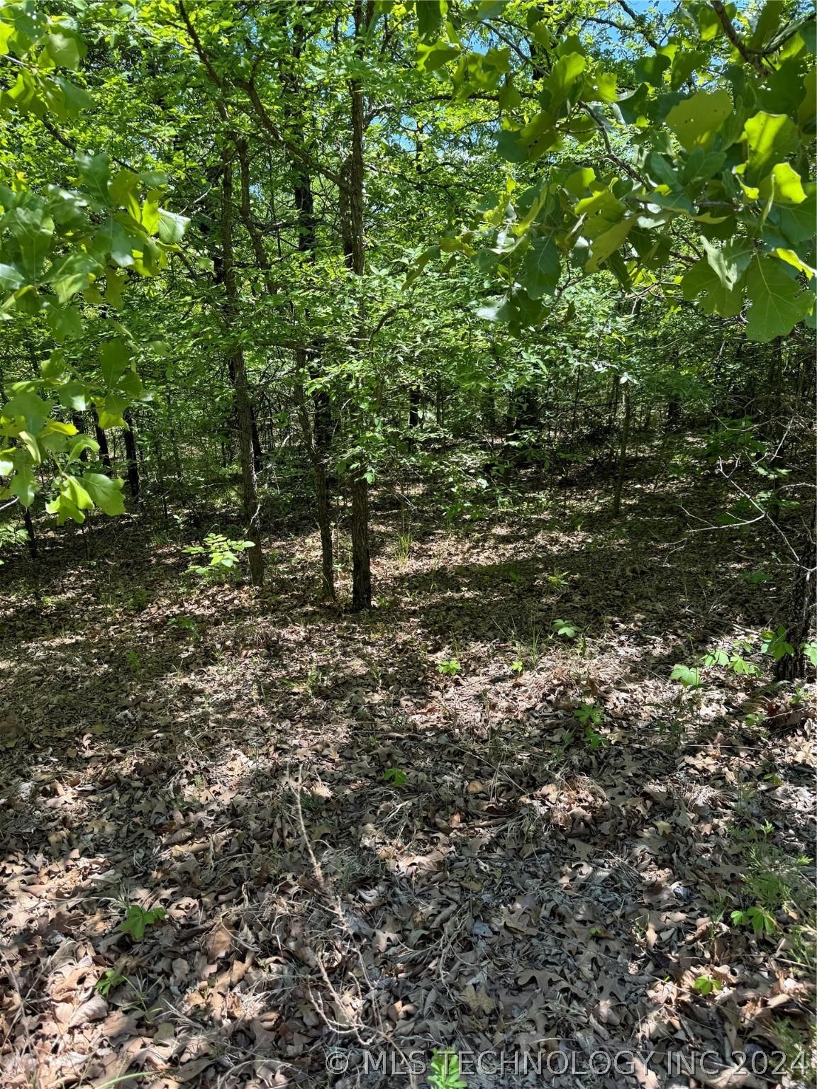 Image 1: Slight grade to .63 acres.